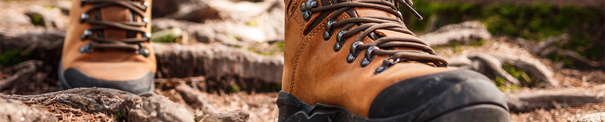 Zorgwol Wandel Header