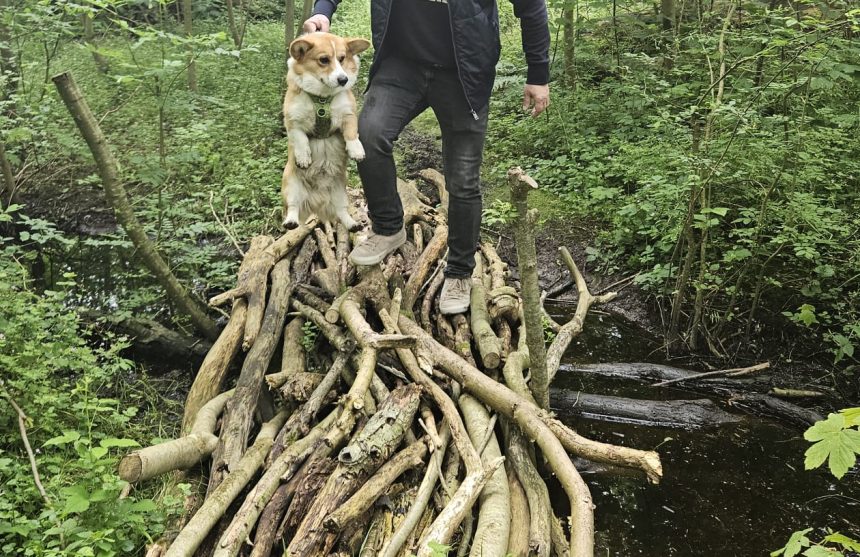 Afbeelding-van-WhatsApp-op-2024-06-04-om-15.11.35_f6a7c25e Spontane Wandeling