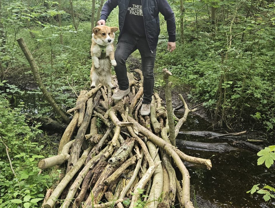 Spontane Wandeling