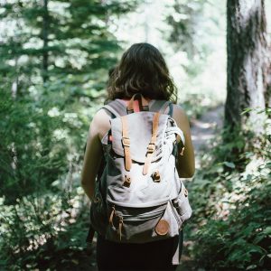 Zorgwol-Het-Pieterpad Het Pieterpad Header