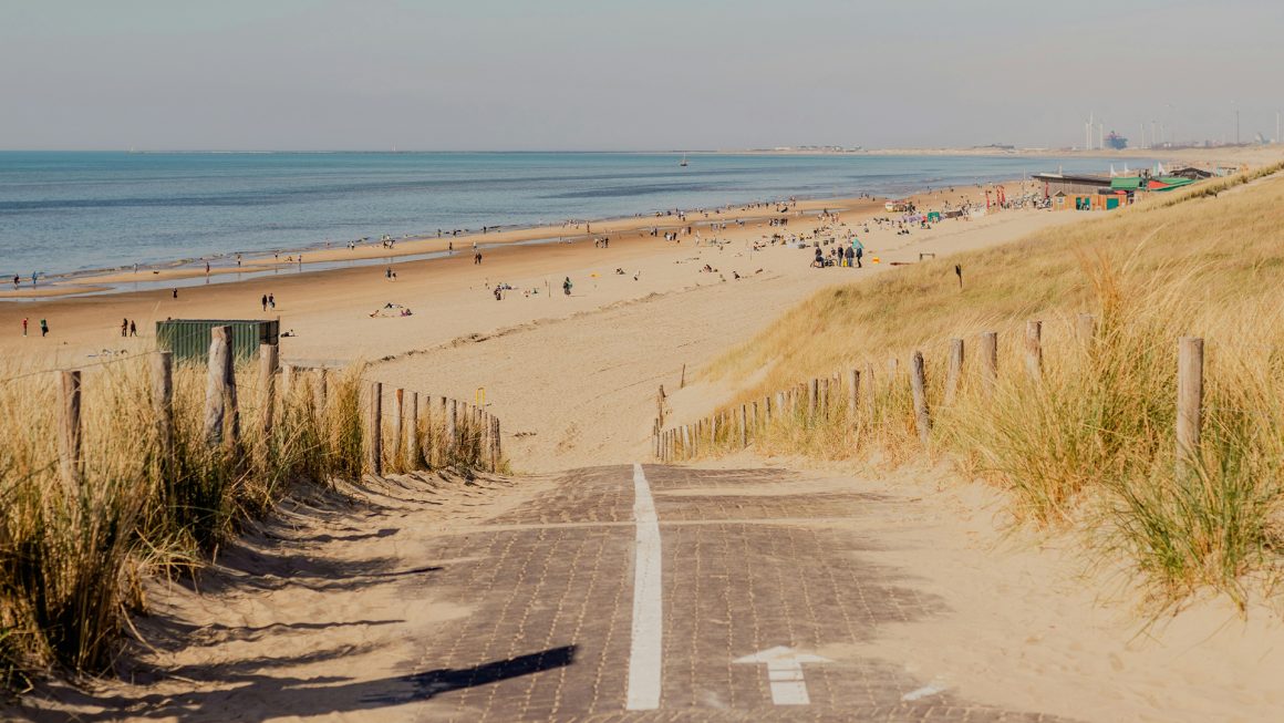 Strand en Duinwandeling Zandvoort