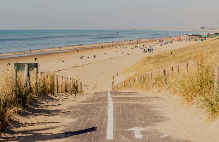 Zorgwold-Strandwandeling-Zandvoort Strand en Duinwandeling Zandvoort