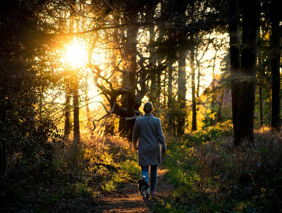 BOGS en Zorgwol tijdens het wandelen