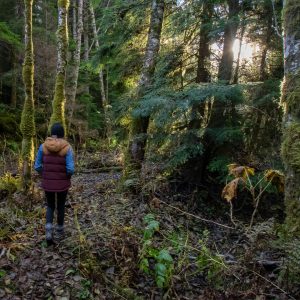 Zorgwol-Blog-Wandelkwaaltjes Wandelkwaaltjes