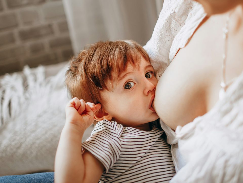 Tepelkloven - Zorgwol