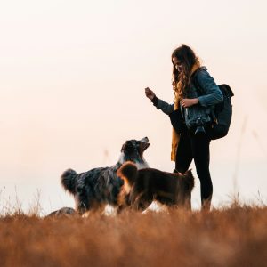 Hondenlosloopgebieden Noord Holland Zorgwol