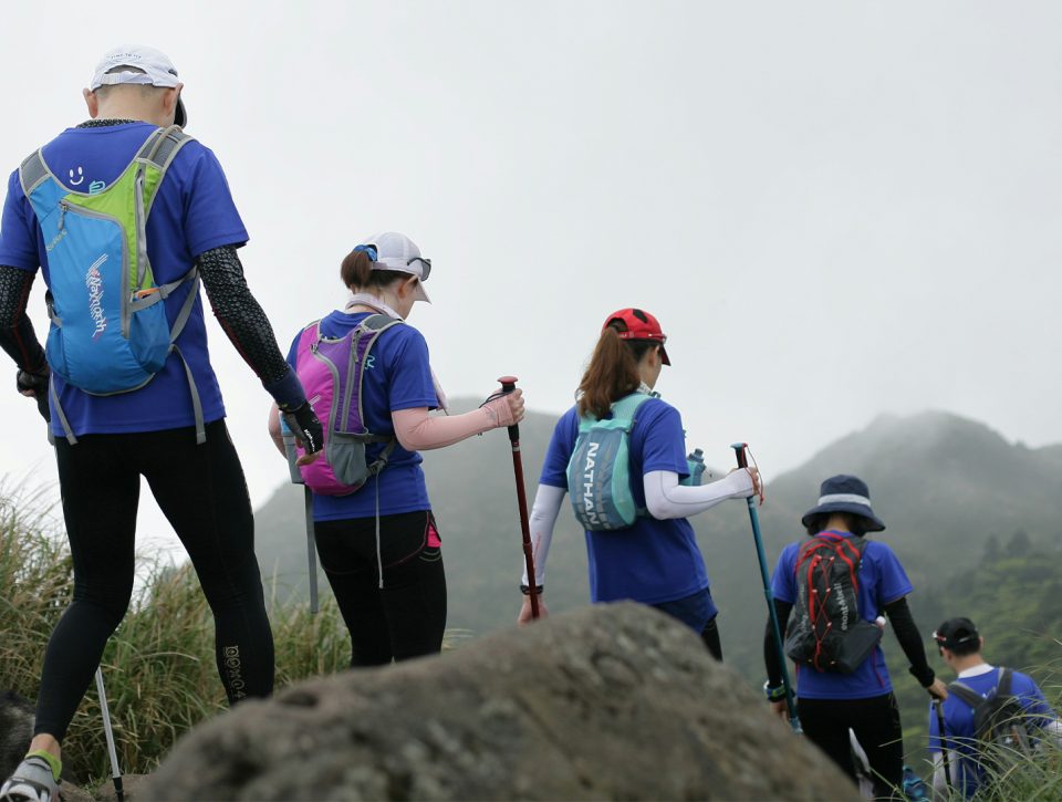 Wandelstokken tijdens het wandelen Zorgwol